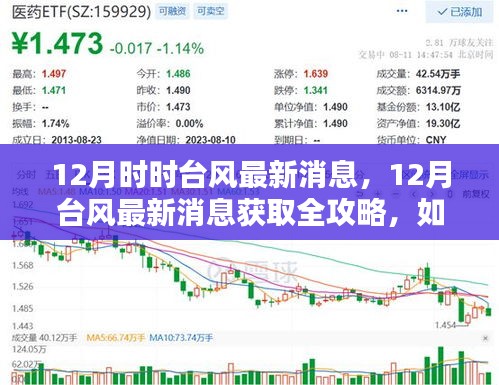 12月臺風(fēng)最新消息全攻略，如何跟進動態(tài)，獲取實時信息