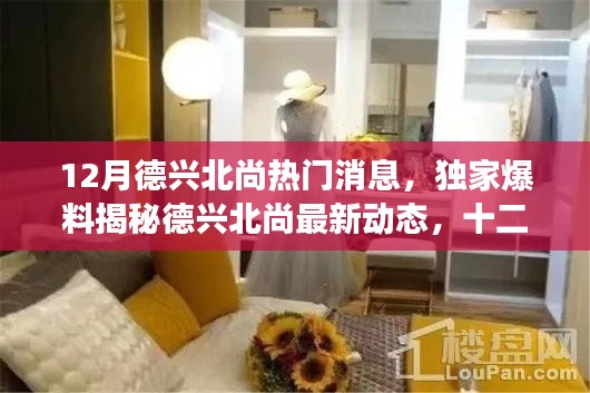 獨家爆料，德興北尚十二月最新動態(tài)揭秘，震撼消息一網(wǎng)打盡！