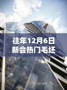 揭秘新會(huì)熱門(mén)毛坯二手樓市，購(gòu)房者三大關(guān)注點(diǎn)解析（往年12月6日）