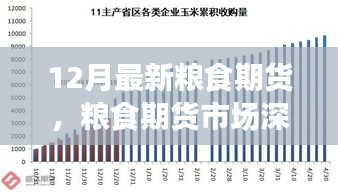 聚焦糧食期貨市場深度洞察，十二月最新動態(tài)與市場趨勢