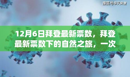 拜登最新票數(shù)背后的奇妙心靈之旅，尋找內(nèi)心平靜的探險(xiǎn)之旅