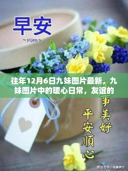 往年12月6日九妹圖片回顧，暖心日常與友誼的溫馨回憶