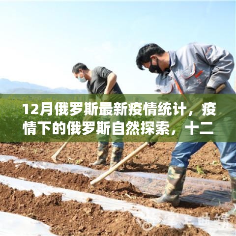 俄羅斯最新疫情統(tǒng)計(jì)與寧?kù)o探索，十二月疫情下的自然之旅