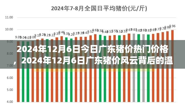 廣東豬價風云背后的溫情故事，最新價格動態(tài)與深度解讀