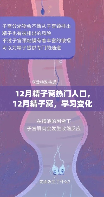 12月精子窩，學(xué)習(xí)變化與自信成就感的源泉，熱門(mén)人生的啟航地