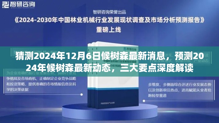 揭秘候樹森最新動態(tài)，三大要點深度解讀預測未來消息（2024年12月6日）