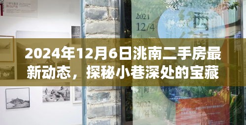 探秘洮南小巷寶藏，揭秘二手房市場最新動態(tài)與獨特小店的奇遇記（最新資訊，2024年12月6日）