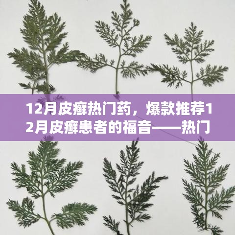 12月皮癬熱門藥物大盤點，爆款推薦與患者的福音