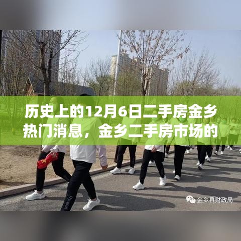 特別的日子，金鄉(xiāng)二手房市場(chǎng)溫馨故事回顧——12月6日熱門消息揭秘