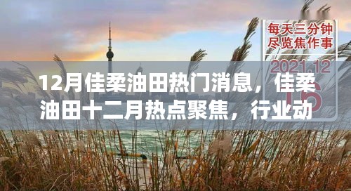 佳柔油田十二月動態(tài)，行業(yè)熱點聚焦與技術(shù)進(jìn)展