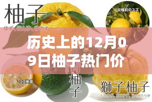 揭秘柚子歷史價格，柚子價格查詢?nèi)ヂ裕ㄟm合初學(xué)者與進階用戶）