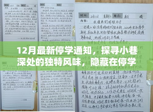 12月最新停學(xué)通知，探尋小巷深處的獨(dú)特風(fēng)味，隱藏在停學(xué)通知背后的秘密小店