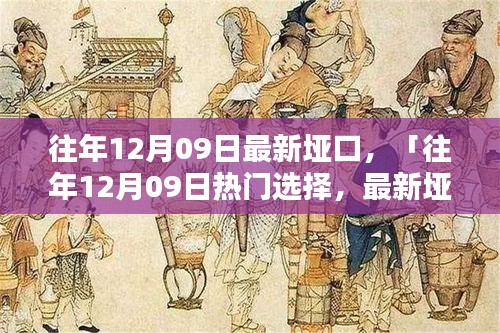 往年12月09日最新埡口產(chǎn)品評(píng)測(cè)與介紹，熱門選擇詳解