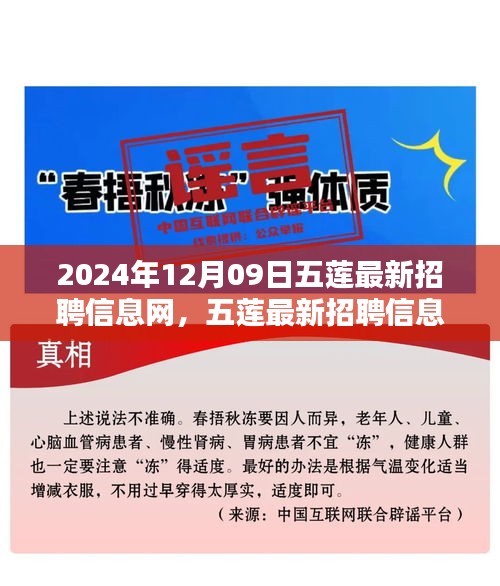 五蓮最新招聘信息網(wǎng)使用指南（初學(xué)者與進(jìn)階用戶適用，發(fā)布日期，2024年12月9日）