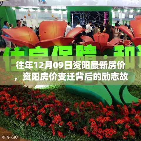 資陽房價變遷背后的勵志故事，學(xué)習(xí)成長與自信的力量，歷年房價回顧與展望（12月09日）