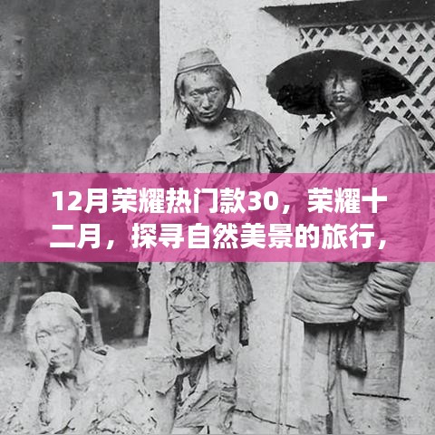 榮耀熱門款30帶你探尋自然美景，啟程靜謐之旅的十二月之旅