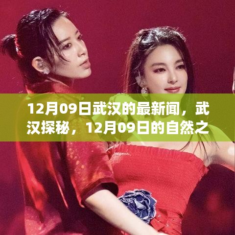 武漢探秘，尋找內(nèi)心的寧靜與平和——武漢最新新聞與自然之旅