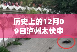 瀘州太伏中學，追尋內(nèi)心平靜的旅程啟程于十二月九日，自然美景啟示心靈之旅