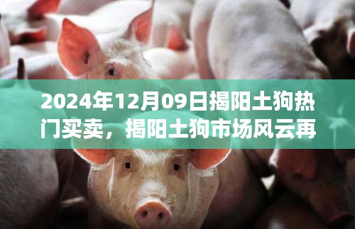 揭陽土狗市場風(fēng)云再起，2024年12月09日熱門買賣回顧