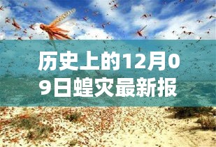 科技之光照亮蝗災防線，智能監(jiān)測預警系統(tǒng)引領科技抗災新時代新篇章