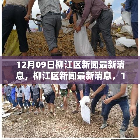 柳江區(qū)新聞回顧與最新動態(tài)，12月09日影響及消息一覽