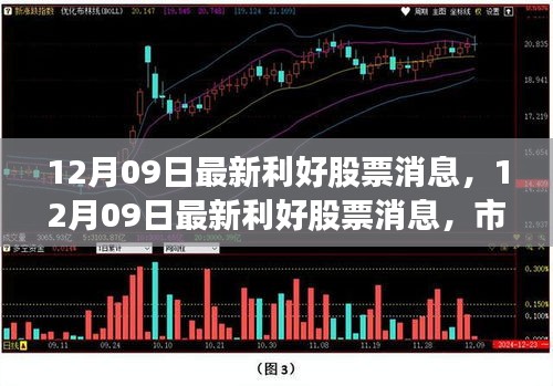 12月09日最新利好股票消息匯總，市場走勢分析與投資熱點(diǎn)前瞻