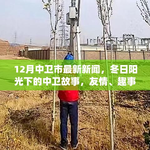 中衛(wèi)市最新新聞，冬日陽光下的溫情故事與家的溫暖