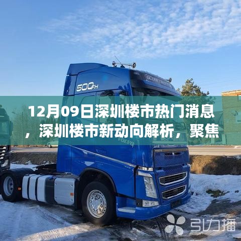 深圳樓市新動向解析，聚焦十二月九日熱門消息