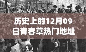 探尋青春草熱門地址背后的文化現(xiàn)象與青春記憶，歷史視角下的12月09日回顧