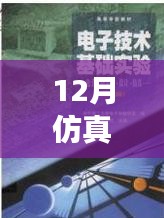 仿真之路，實(shí)時(shí)啟航，迎接自信與成就感的魔法時(shí)刻——十二月仿真需求解析