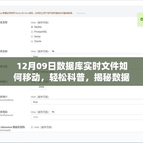 ruixuefenfei 第4頁