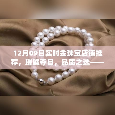 12月09日金珠寶店鋪實(shí)時(shí)推薦，璀璨品質(zhì)之選