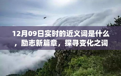 12月09日實時近義詞探索與勵志新篇章，探尋詞匯魔力，學習鑄就自信成就之橋