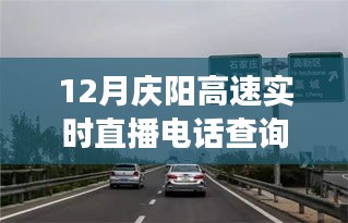 慶陽高速直播電話查詢背后的勵志故事，駕馭變化，駛向成功