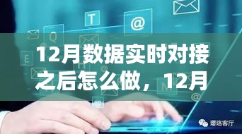 12月數(shù)據(jù)實(shí)時(shí)對(duì)接后的策略指南，多方考量與行動(dòng)步驟
