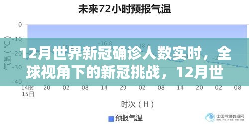 全球視角下的新冠挑戰(zhàn)，12月世界新冠確診人數(shù)實時分析