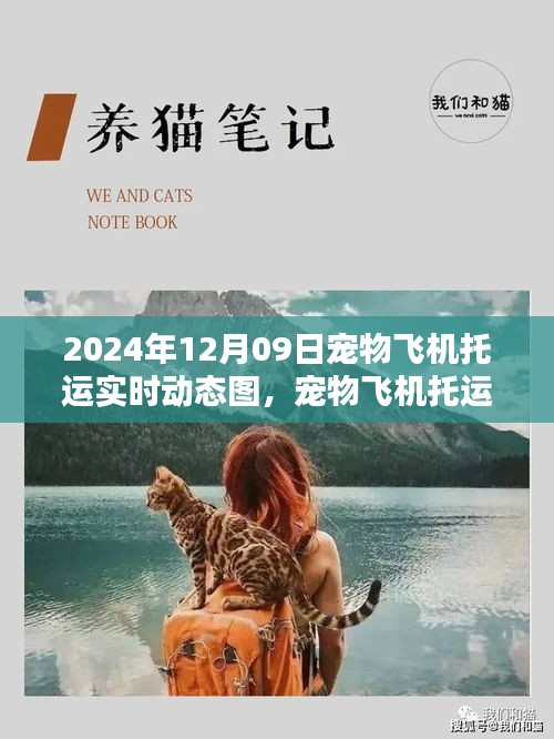 寵物飛機(jī)托運(yùn)全程指南，實(shí)時(shí)動(dòng)態(tài)圖解（XXXX年）