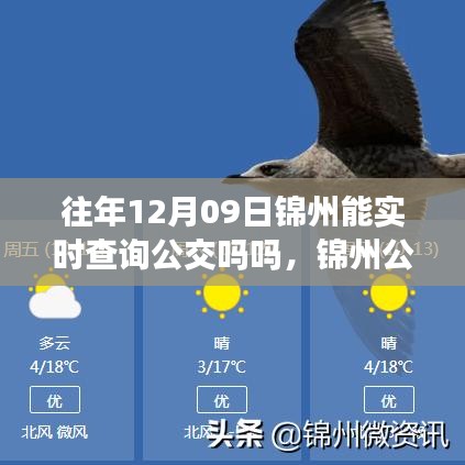 錦州公交實(shí)時(shí)查詢系統(tǒng)升級(jí)，智能出行新體驗(yàn)，科技生活觸手可及