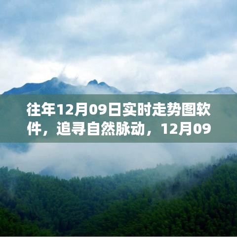 追尋自然脈動，12月09日走勢圖背后的心靈之旅與實時走勢圖軟件解析