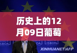 葡萄牙語(yǔ)視頻實(shí)時(shí)翻譯之旅，探尋歷史與自然美景的藝術(shù)心靈之旅