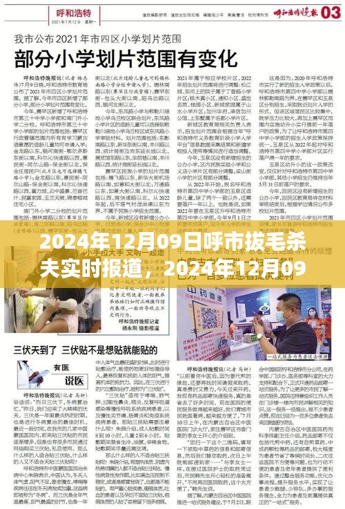 呼市拔毛殺夫事件，悲劇背后的深度解析（實(shí)時(shí)報(bào)道）