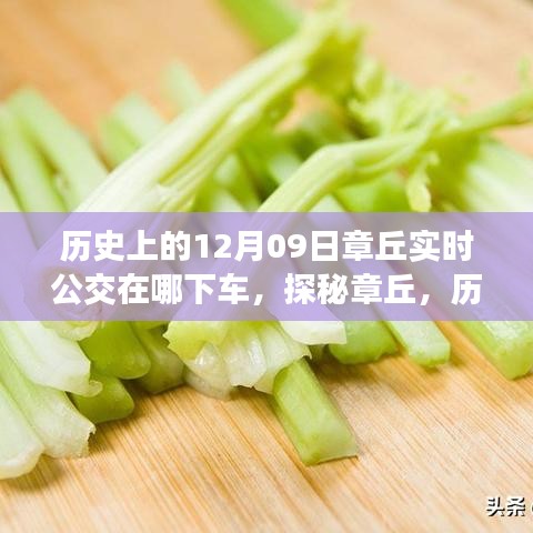 探秘章丘，歷史深處的公交軌跡與小巷美食寶藏——12月9日實(shí)時(shí)公交指南