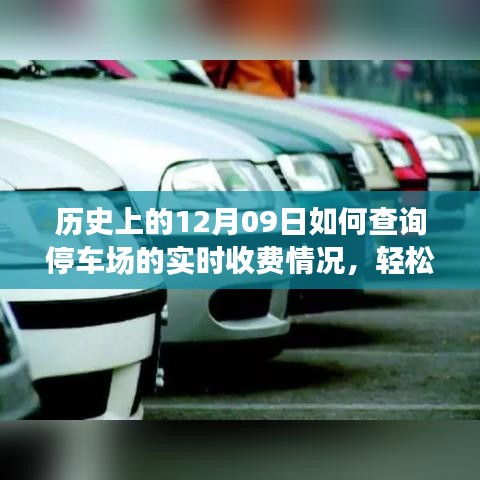 如何查詢停車場(chǎng)實(shí)時(shí)收費(fèi)情況？詳細(xì)步驟指南（歷史上的12月09日版）