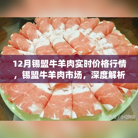 錫盟牛羊肉市場(chǎng)深度解析，十二月實(shí)時(shí)價(jià)格行情報(bào)告