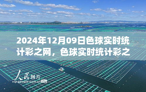 色球?qū)崟r統(tǒng)計彩之網(wǎng)，博弈背后的公眾觀點(diǎn)探析與博彩博弈的探討