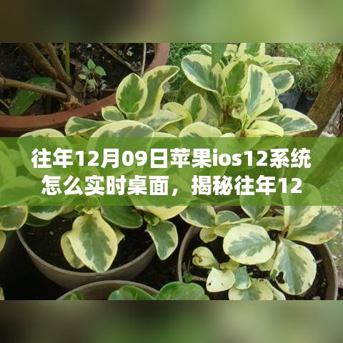 mingyiyufei 第4頁(yè)