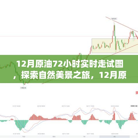 yishisanniao 第3頁(yè)