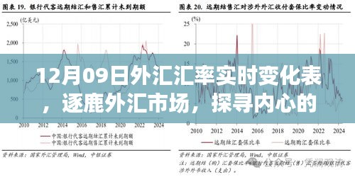 揭秘外匯市場(chǎng)風(fēng)云變幻，探尋匯率背后的故事——12月09日外匯匯率實(shí)時(shí)變化表解析