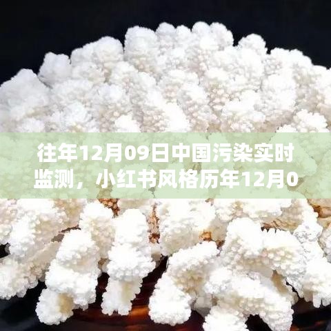 歷年12月09日中國(guó)污染實(shí)時(shí)監(jiān)測(cè)，小紅書風(fēng)格下的藍(lán)天綠水守護(hù)共同責(zé)任