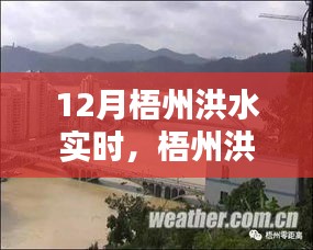 梧州洪水實(shí)時(shí)監(jiān)測(cè)，系統(tǒng)深度評(píng)測(cè)、特性、體驗(yàn)、競(jìng)品對(duì)比及用戶分析